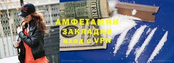амф Алзамай