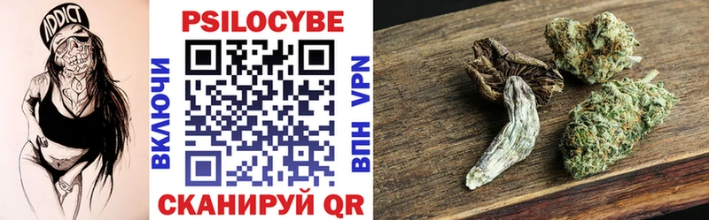 Псилоцибиновые грибы Cubensis  купить наркоту  Бабаево 